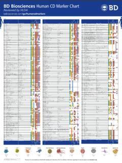 BD Biosciences Human CD Marker Chart / bd-biosciences-human-cd-marker-chart.pdf / PDF4PRO