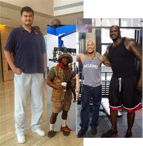 I got curious and put Yao Ming, Kev Hart, The Rock, and Shaq together ...