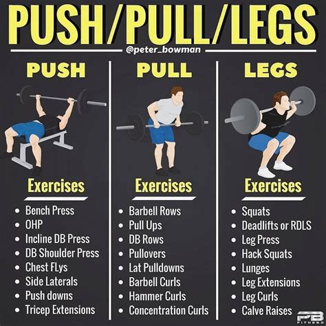 Pin on Gym Workout Exercises For Men & Women