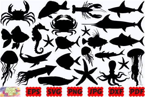 Sea Animals SVG | Ocean Life SVG | Sea Graphic by DigitalDesignsSVGBundle · Creative Fabrica