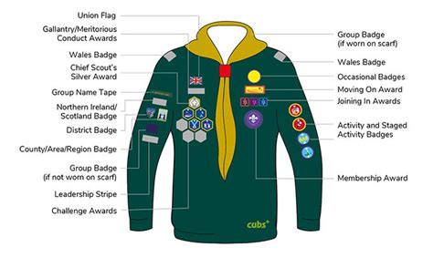 20th Swansea (1st Morriston) Scouts » Badge Placement.