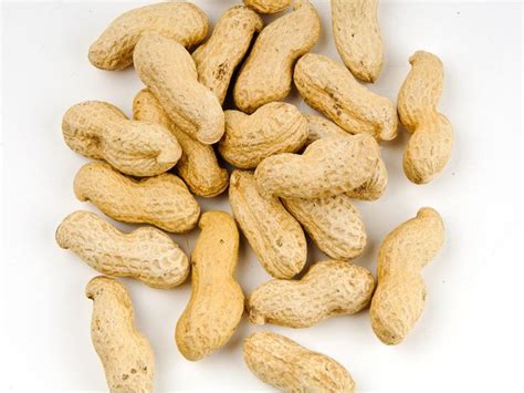 Recipe Info Basic Peanut Preparation