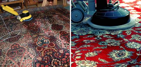 How to Clean a Persian Rug at Home | 9 Simple Steps (2024)