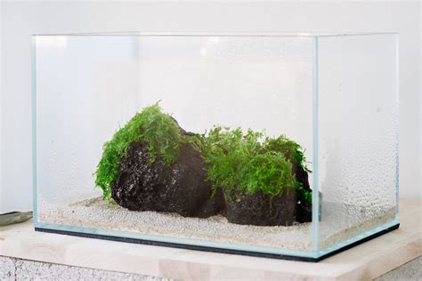 Black Lava Rock Popular Aquascaping Hardscape Rock for Planted Tank – Glass Aqua