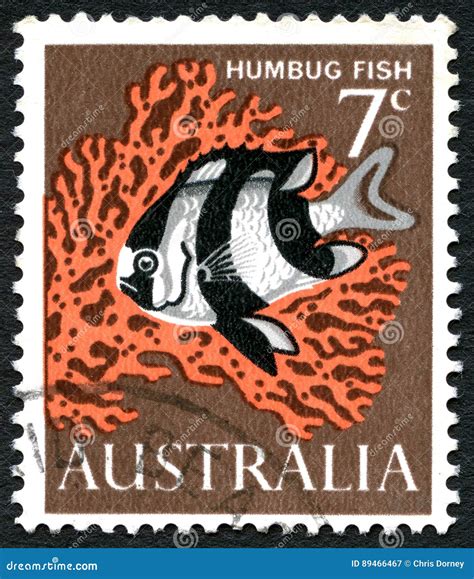 Humbug Fish Australian Postage Stamp Royalty-Free Cartoon | CartoonDealer.com #89466467