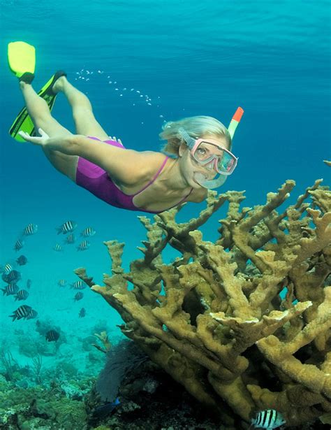 Best Nassau Snorkel Adventure - Half day Shore Excursion at Nassau Bahamas - Eastern Caribbean ...