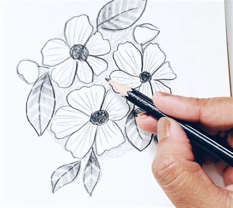 Pencil Shading Tips for Easily Sketching Flowers - Tombow USA Blog