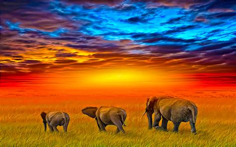 Majestic Elephants at Sunset HD Wallpaper