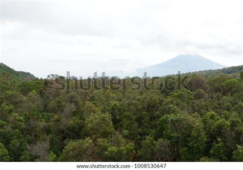 Papandayan Mountain Scenery Pemandangan Gunung Papandayan Stock Photo ...