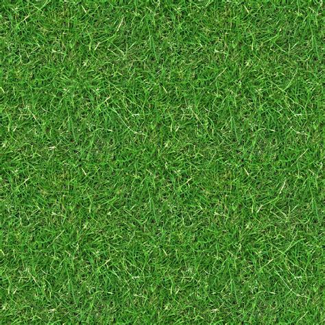 the green grass texture is very high resolution