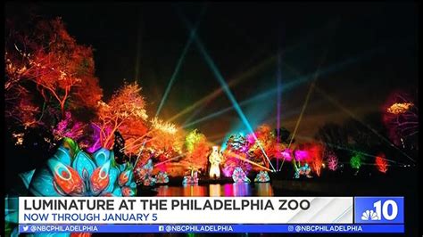 Philadelphia Zoo Revamped With Luminature Light Display | NBC10's Philly Live - YouTube