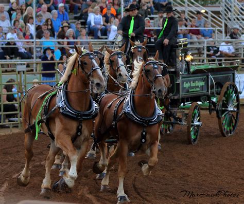 2018 Draft Horse Classic | Horses, Draft horses, Animals