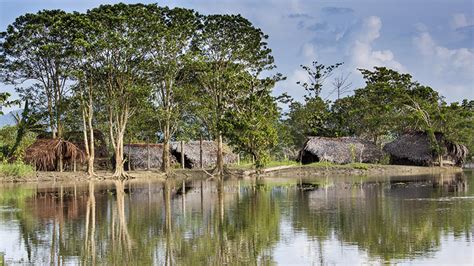 Value of nature: Papua New Guinea's biodiversity a win-win for people ...