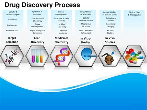 Drug Discovery Process Flow Chart