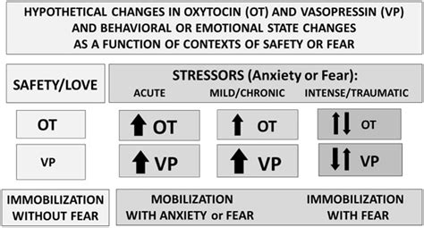 Vasopressin hormone function, vasopressin uses & vasopressin side effects