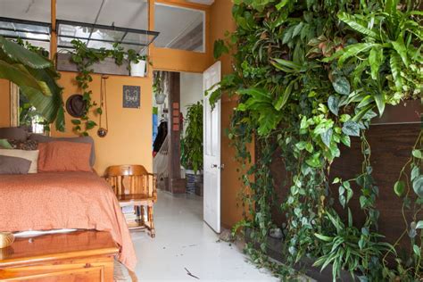 Urban Jungle Interior Design: The Ultimate Guide - Idea Design Homes