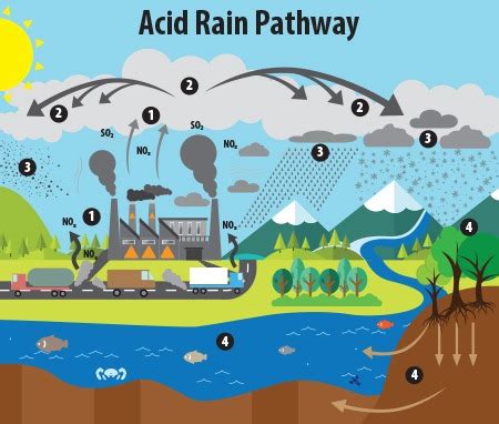 How to Prevent Acid Rain - Green Coast