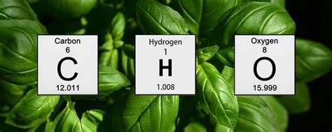 Hydrogen, Oxygen & Carbon – A-Grade Hydroponics