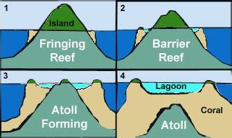 Coral Reef: Fringing Reef, Barrier Reef & Atoll | PMF IAS