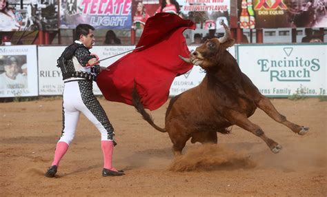 Bullfighting in Texas not quite 'bloodless' - Houston Chronicle