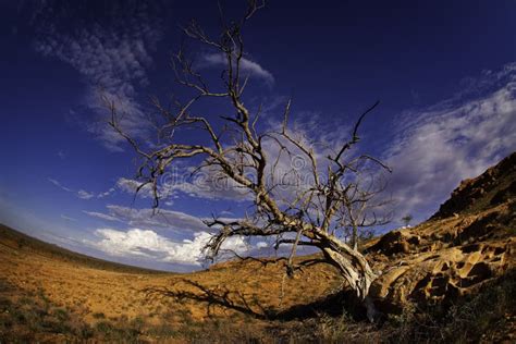 Barren desert country stock image. Image of landscape - 3936161