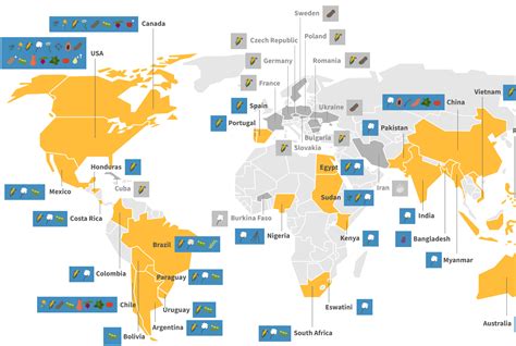 Where are GMO crops grown? GLP infographics document the global growth ...