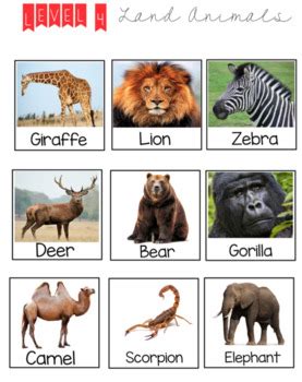 LEVEL 4: Land Animals by Christina's Classroom Printables | TpT