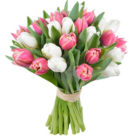 Bouquet De Tulipes Roses