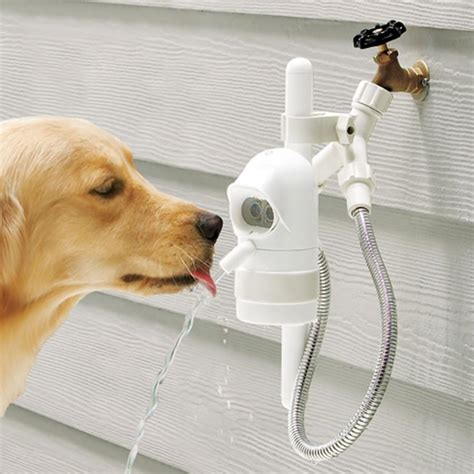 WaterDog: A Motion Sensing Outdoor Dog Water Fountain