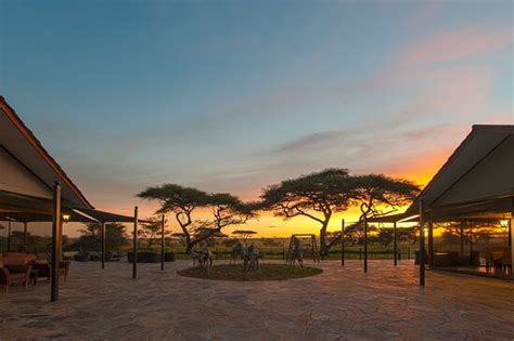 THE 10 BEST Hotels in Serengeti National Park for 2022 (from £157 ...