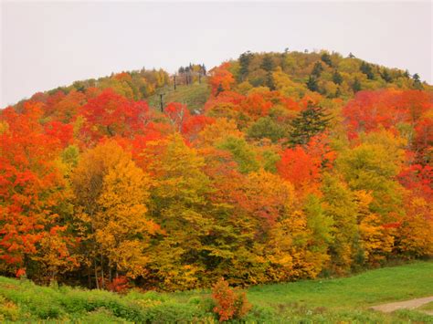 Vermont Tours for Every Season - Vermontology | Fall foliage vermont ...