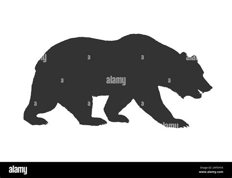 brown grizzly bear silhouette side view vector isolated on white ...