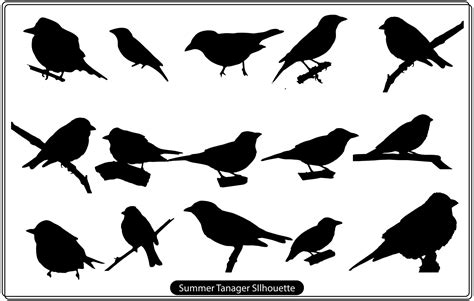 Summer Tanager silhouette free 18746578 Vector Art at Vecteezy