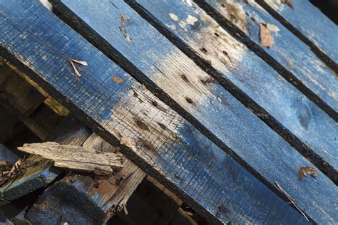 Pallet | A broken pallet I found at work | AJHosgood | Flickr