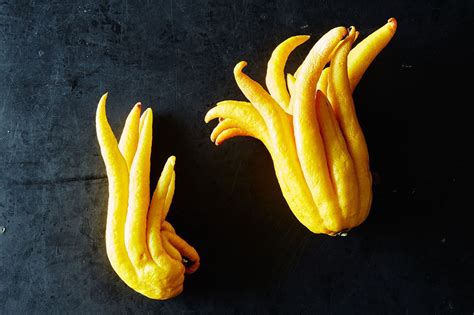 Buddha's Hand and 5 Great Ways to Use It | Buddha's hand, Fruit, Fruit recipes