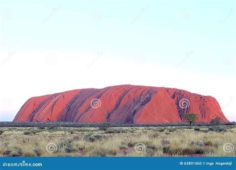 Purple Sunset Colors of Uluru Ayers Rock, Australia Editorial Image - Image of centre ...