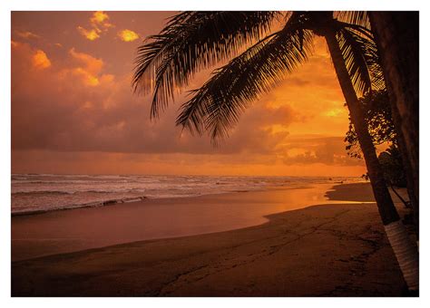 Costa Rica Beach Sunset Photograph by Tito Slack | Fine Art America