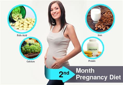 TIPS TO IMPROVE HEALTHY LIFE: 2nd Month Pregnancy Diet - Which Foods To Eat And Avoid?