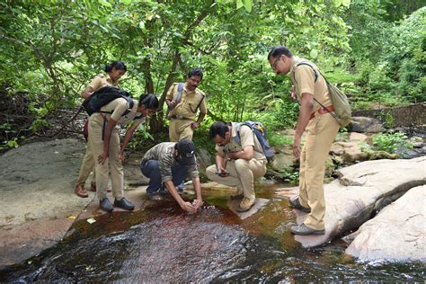 Holistic Approaches to Conserving the Purple Frog in India — Reverse ...