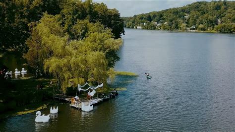 Aerial Footage of Swan Lake Day 2020 - YouTube