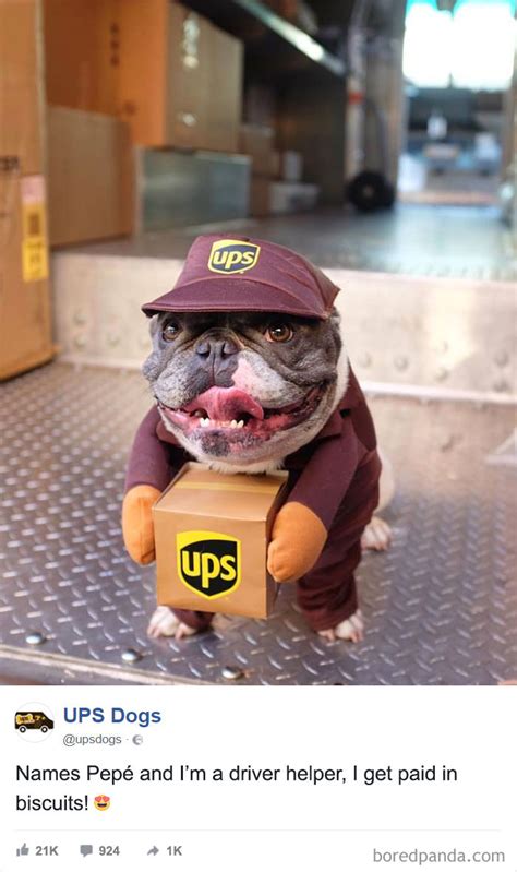 UPS Drivers Capture The Most Interesting Photos On Their Routes, And We Can’t Get Enough