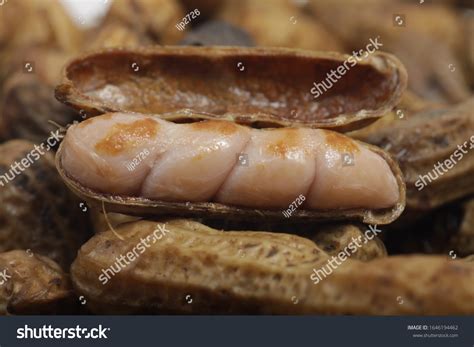 Kacang Rebus Indonesian Most Popular Snacks Stock Photo 1646194462 ...