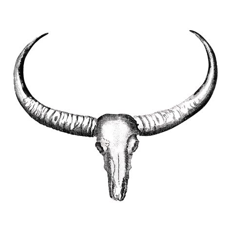 Longhorn Skull Vector at Vectorified.com | Collection of Longhorn Skull Vector free for personal use