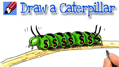 Drawing Of A Caterpillar - Cat Meme Stock Pictures and Photos