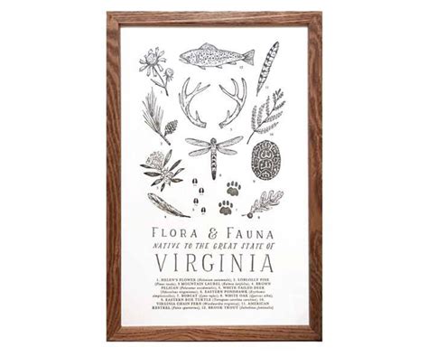 Virginia Wildlife Field Guide Print VA Outdoors Flora Fauna - Etsy