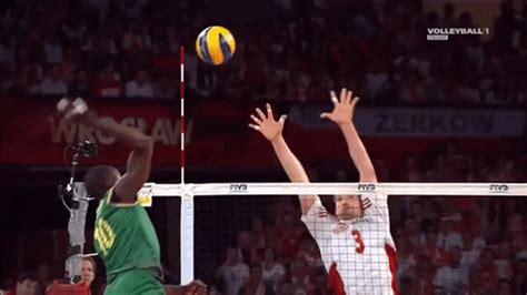 Volleyball GIFs - Find & Share on GIPHY