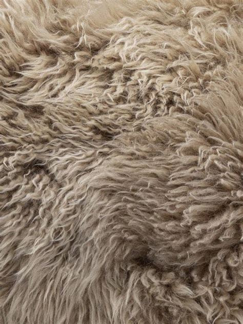 Long Wool Mt Gold Sample – Wilson & Dorset