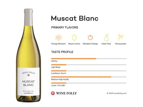 The Comprehensive Guide to Muscat Blanc | Wine Folly