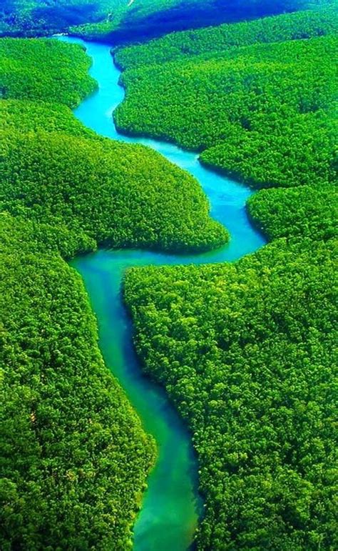 The Amazon Rainforest, Brazil-10 Worlds Amazing Forests | Wonders of ...