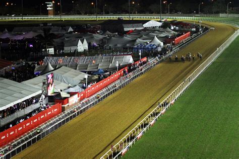 About Greyville Racecourse | Gold Circle Horse Racing And Betting